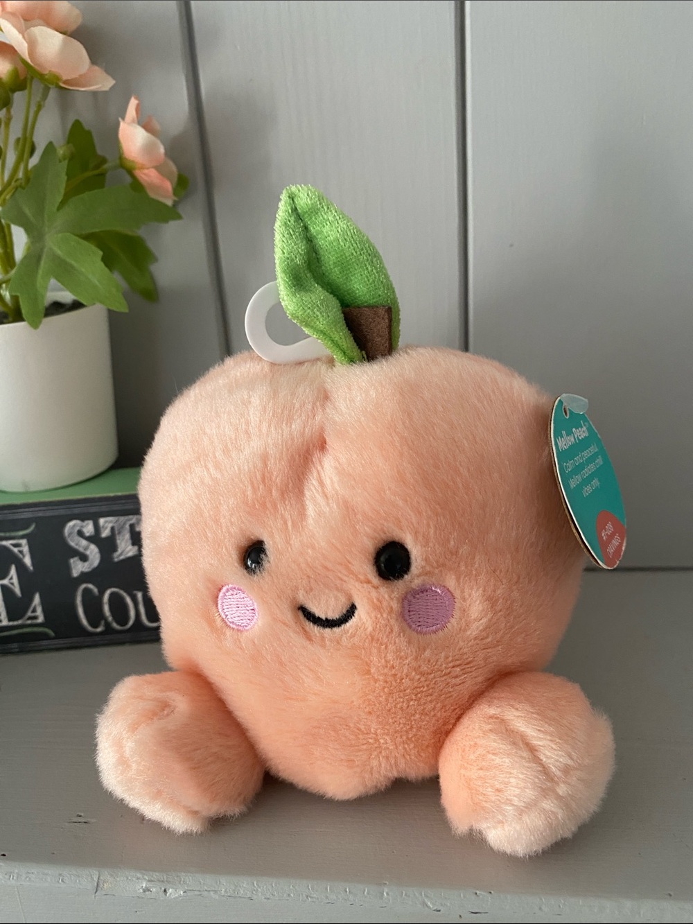 NEW🌈 Aurora Palm Pals Mellow Peach plush gifts